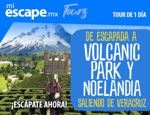 Turitour Volcanic Park - Noelandia